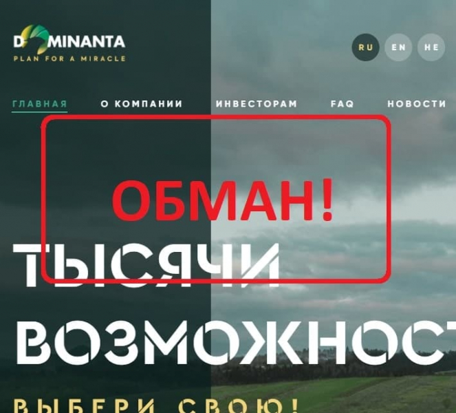 gruppa kompanij dominanta otzyvy i obzor seoseedru 1efbb35