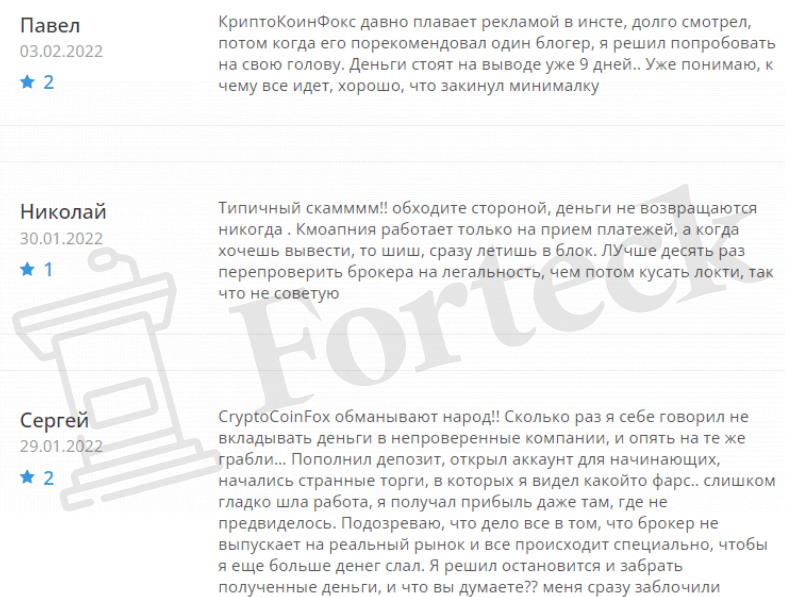 CryptoCoinFox – новый шаблонный лохотрон уже в деле