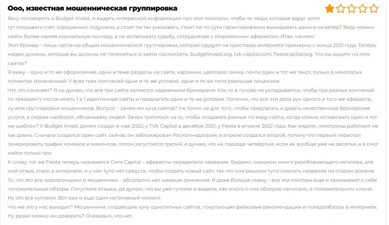 Budget Invest — Крупный и надежный холдинг?