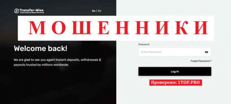 Transfer Wise МОШЕННИКИ отзывы снять деньги