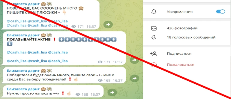 Елизавета дарит отзывы о телеграм канале