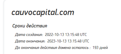 Полный обзор брокера Cauvo Capital