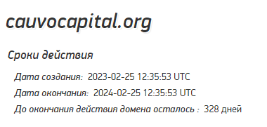 Полный обзор брокера Cauvo Capital