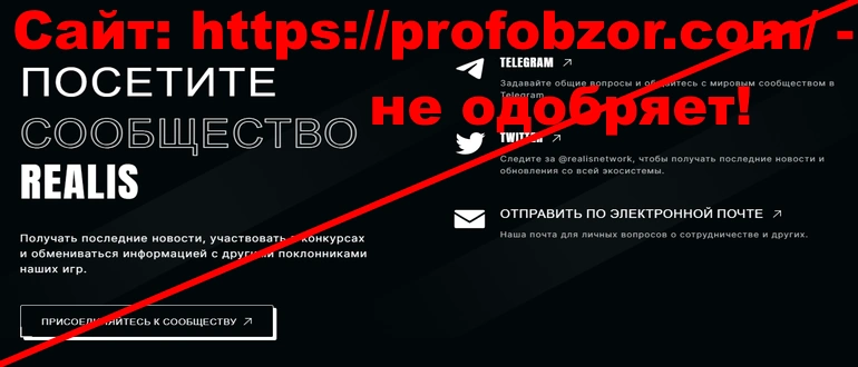 Realis network отзывы о проекте