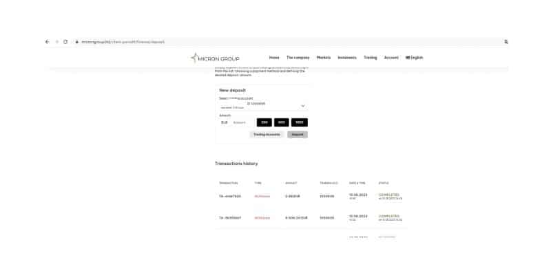 Мошеннический портал &ldquo;Microngroup.ltd&rdquo;  &mdash; подробный отчет о деятельности с иллюстрациями