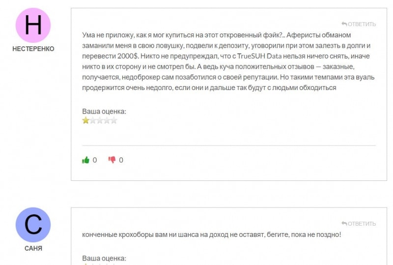 Обзор инвестиционной компании True Suh Data &mdash; уже не первый клон-лохотрон и однозначно развод.