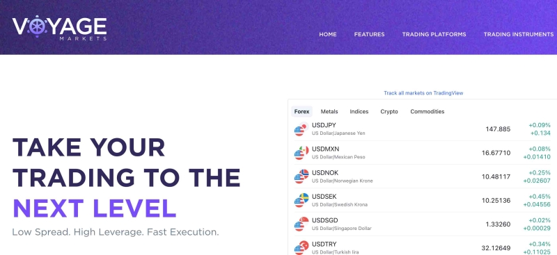 Отзывы о Voyage Markets: вывод средств из voyagemarkets.net возможен?
